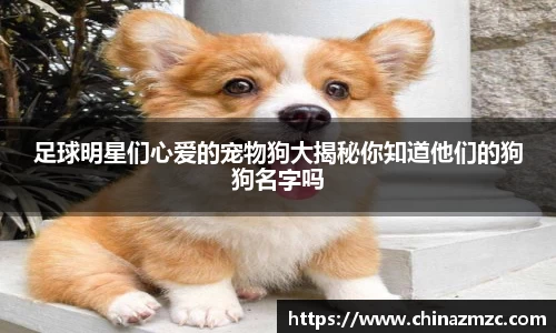 足球明星们心爱的宠物狗大揭秘你知道他们的狗狗名字吗